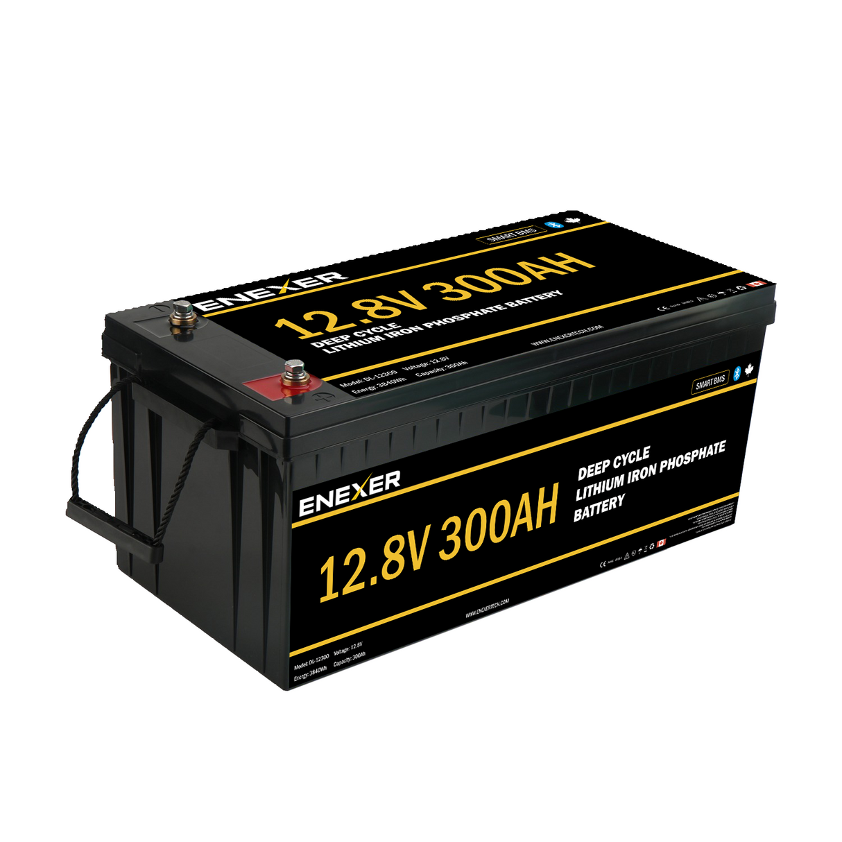 Enexer 12V 300AH Deep Cycle LFP Battery